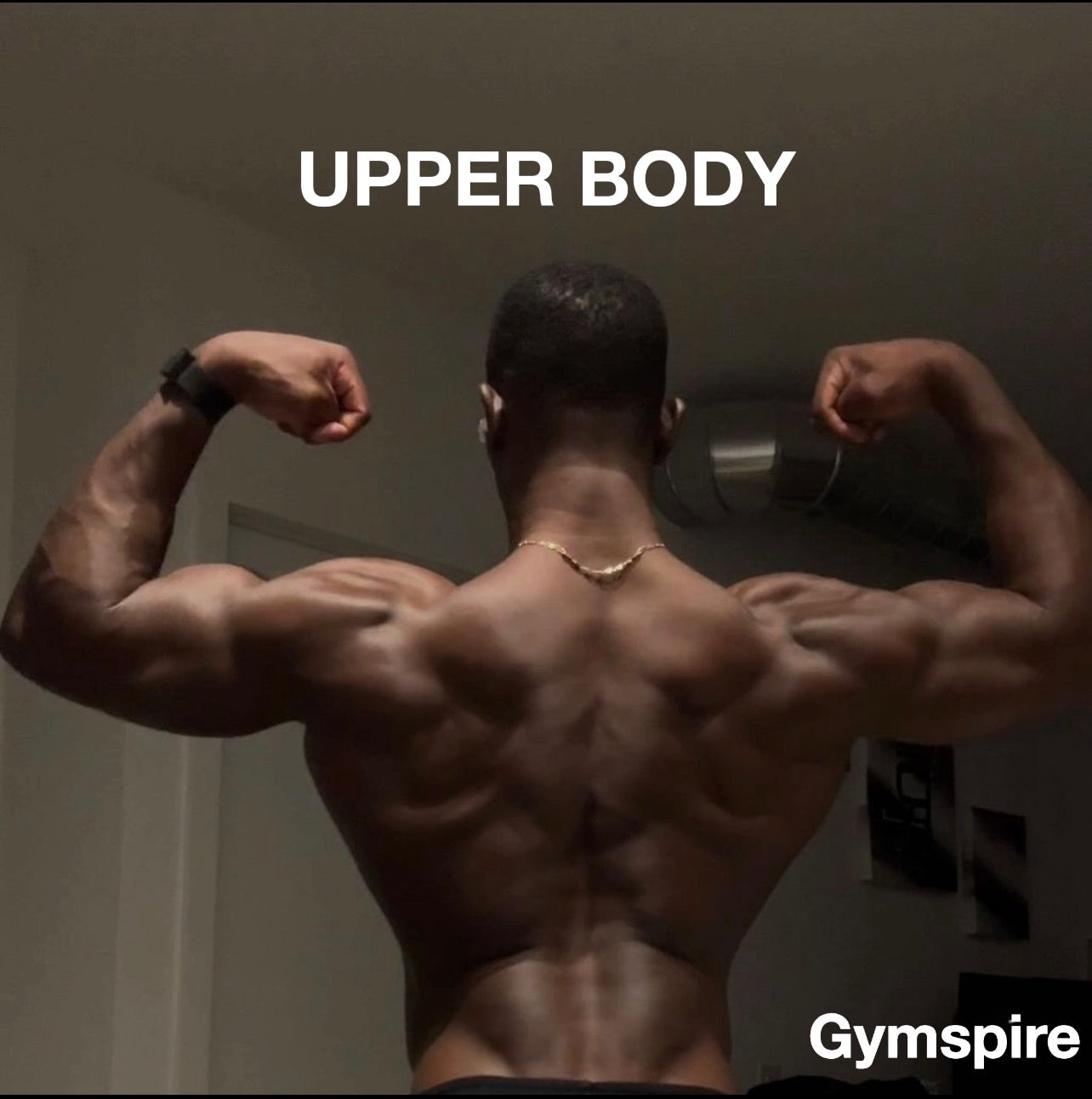 UPPER BODY TRANSFORMATION