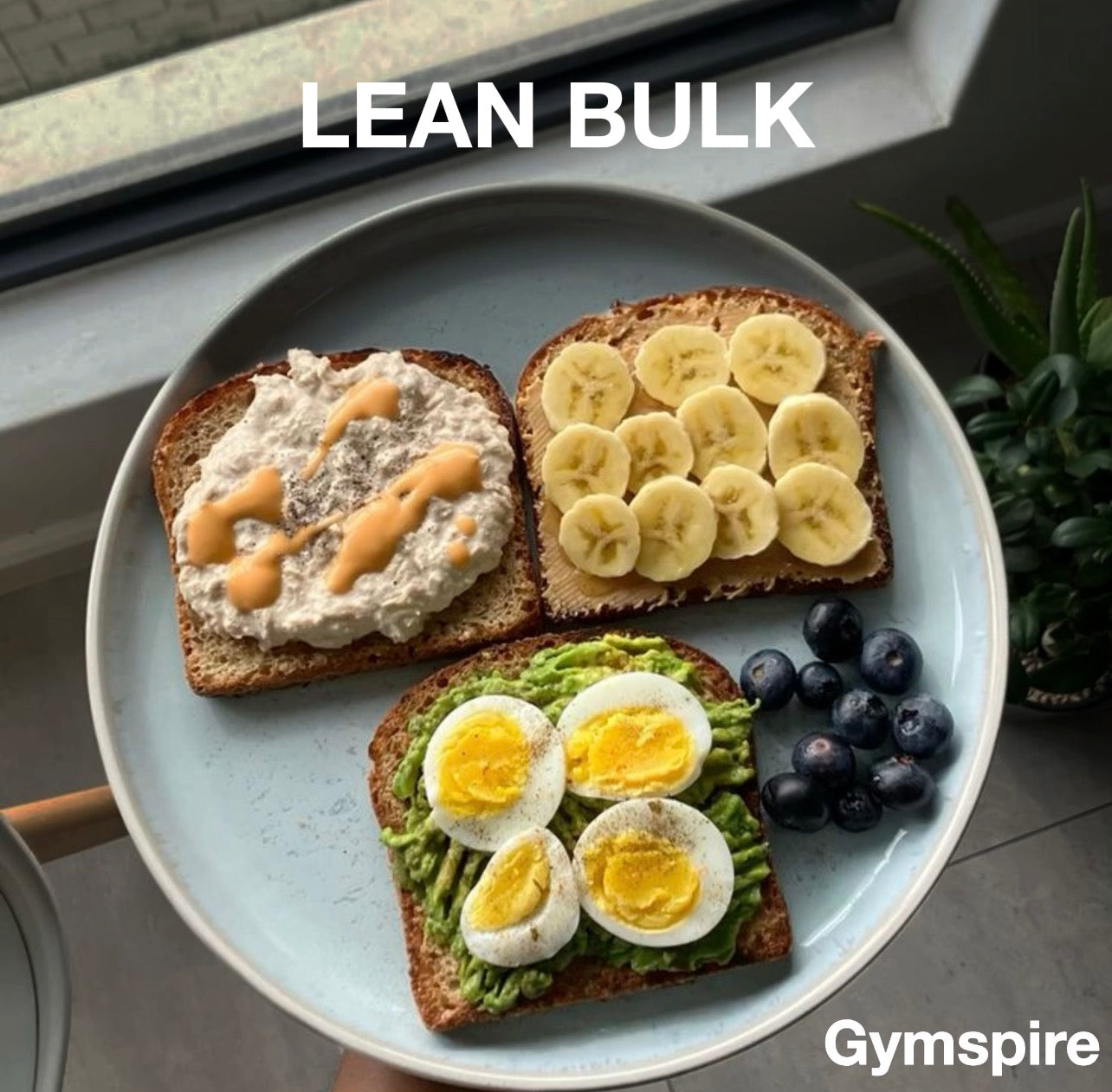 LEAN BULKING MEAL PLAN