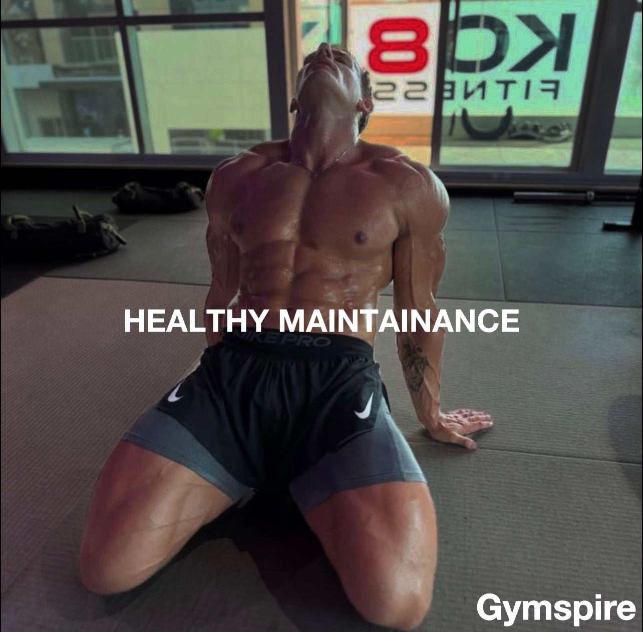 HEALTHY MAINTAINANCE DIET