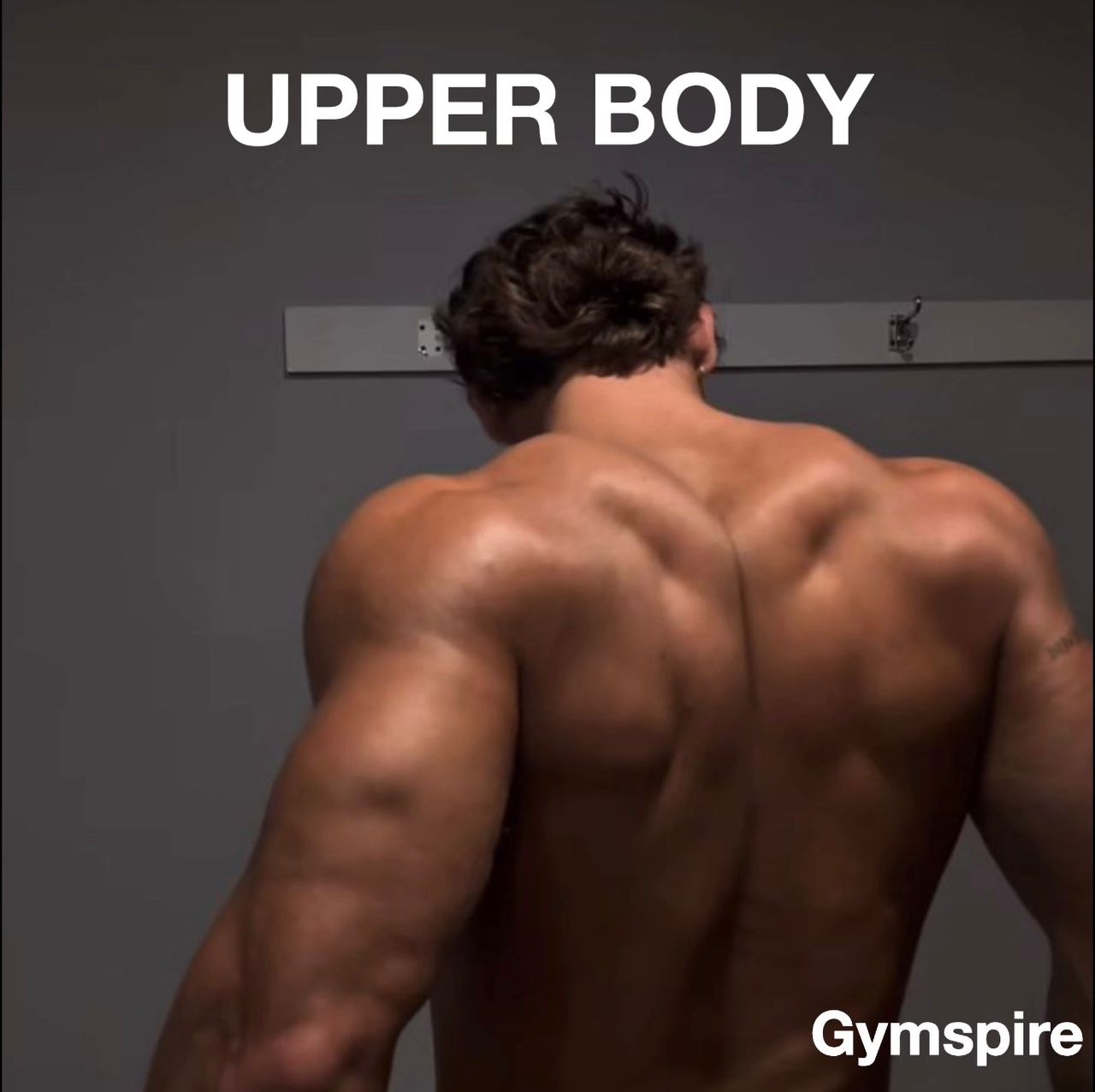UPPER BODY TRANSFORMATION